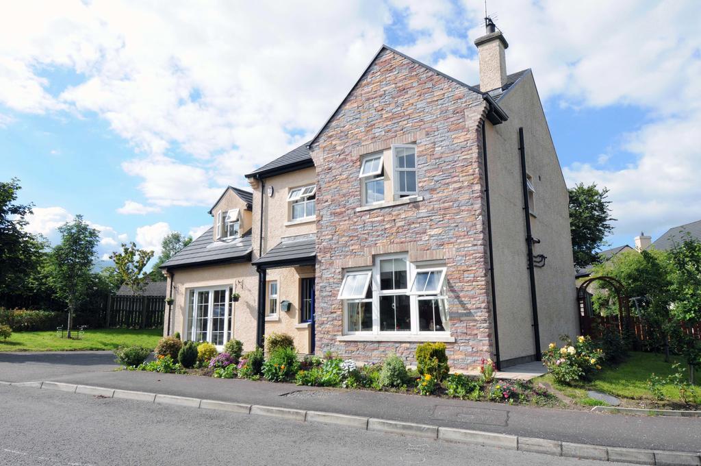 Slieve Rushen Bed & Breakfast Derrylin ภายนอก รูปภาพ